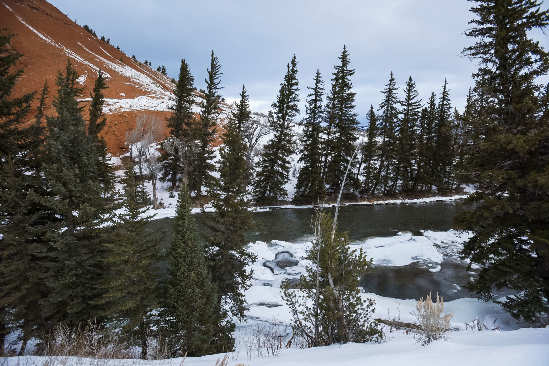 Teton County leg